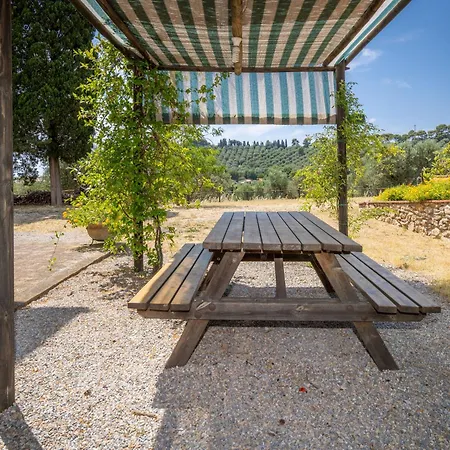 Erica By Interhome Venturina Terme